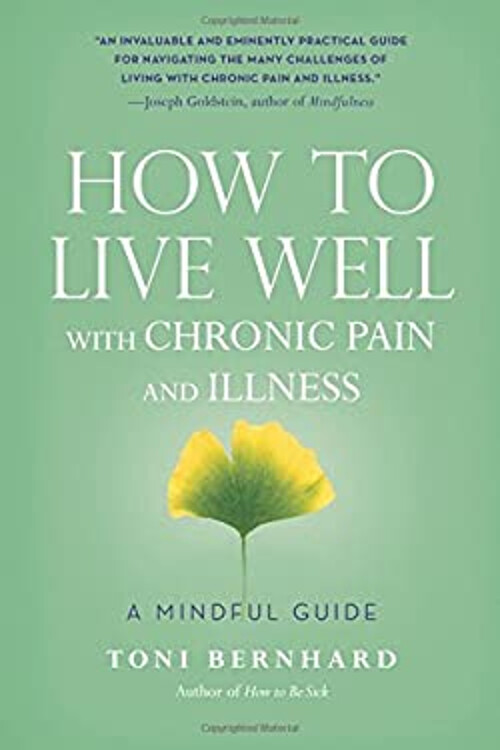 How to Live Well with Chronic Pain and Illness : A Mindful Guide