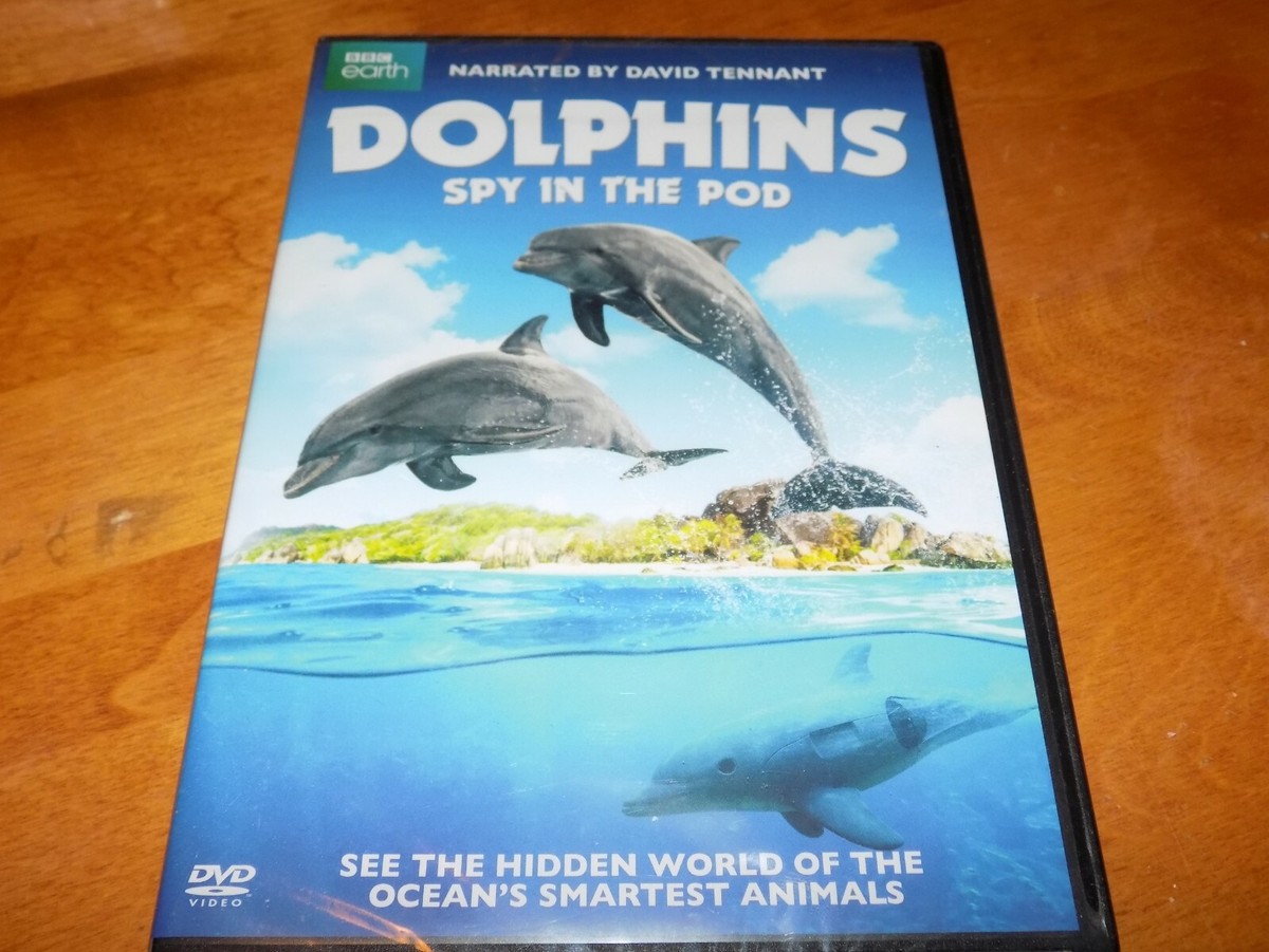 (未使用･未開封品)Nova: Under the Sea - Real World of Sharks Dolphin [DVD] IMAX Under the Sea Sharks Marine Life Sea Fish Coral Reefs