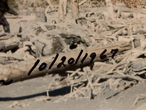 Robert bob gimlin signed 8x10 Photo Pic Bigfoot Camera Man - 第 3/3 張圖片