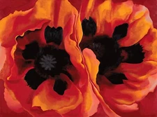 Oriental Poppies Painting by Georgia O'Keeffe Art Reproduction