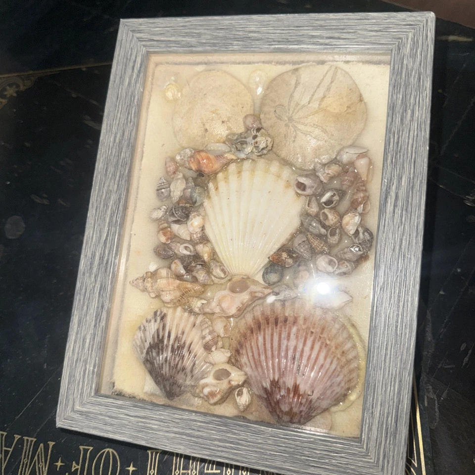 Sea Shell Artwork Natural Beauty Beach Decor Wall Hanging Home Decor Wall Art - Image 2 of 4