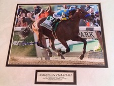 American Pharoah HORSES Triple Crown 11x14 SIGNED AUTOGRAPHED JOCKEY horse Race
