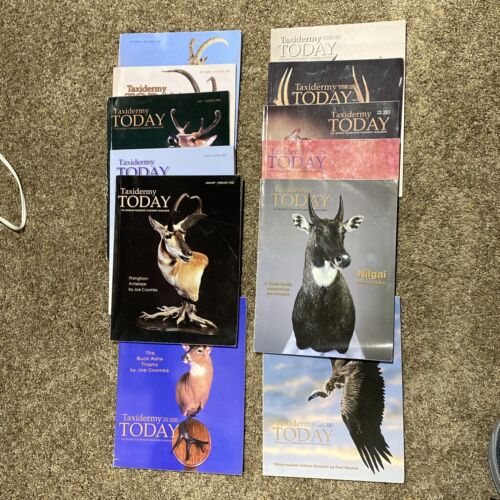 Taxidermy Today Magazine Lot 12 Issues Year 2000 & 2001 Full Years