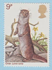 OTTER STAMP 1977 GREAT BRITAIN UNUSED POSTAGE WILDLIDE NATURE ANIMALS MNH