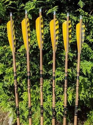 Gold Tip Traditional Carbon Arrows. 600, 500, 400, or 340. 6 Pack.