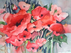 New ListingRed Vibrant Red Poppy Flowers Watercolor Painting * Beautiful Large Painting