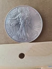 2025 1 oz American Silver Eagle Coin BU