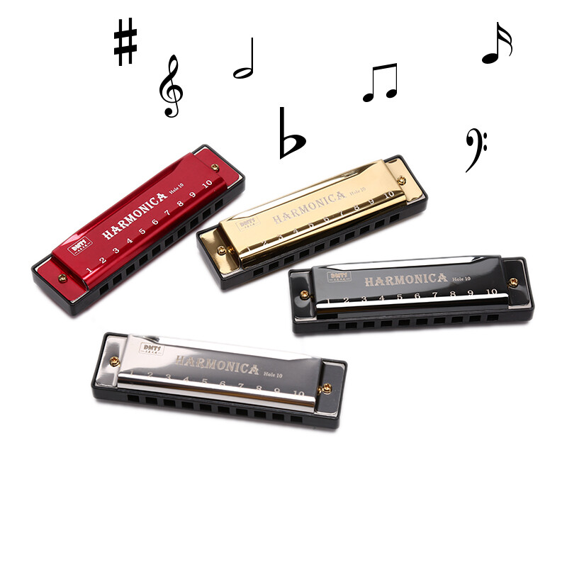 10 Hole Harmonica Mouth Organ Puzzle Musical Instrument Beginner