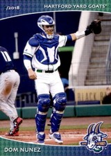 2018 Hartford Yard Goats SGA Grandstand #24 Dom Nunez Elk Grove California Card