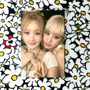 Natty Photocard | eBay