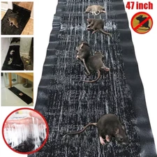 Large Catcher Rat Glue Trap Rodent Board Mice Indoor Super Sticky Mouse USA