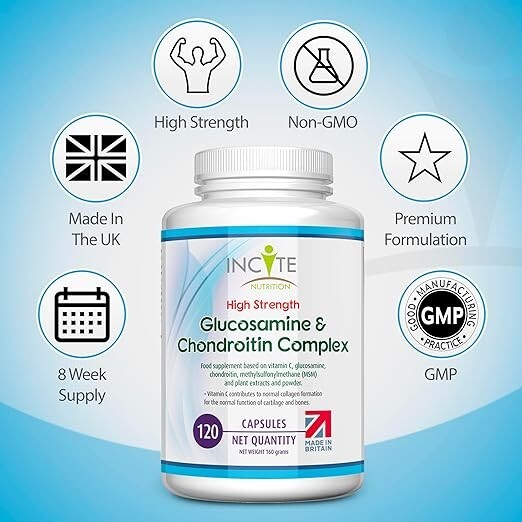 GLUCOSAMINE AND CHONDROITIN HIGH STRENGTH COMPLEX WITH MS 120 PREMIUM