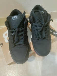 dunk low pro premium