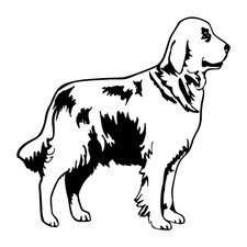 Golden Retriever Dog Det Decal Sticker Black Die Cut Vinyl