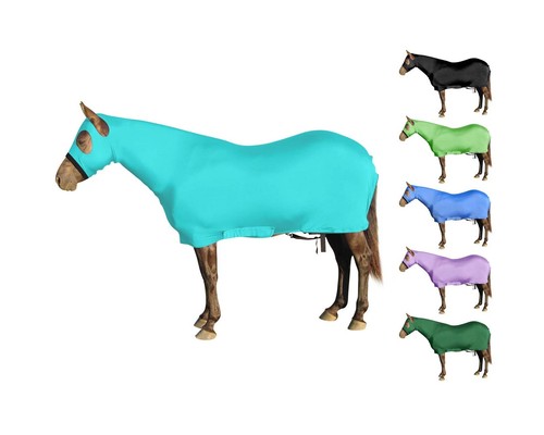 A painting of a full body horse stallion standing on its hind legs in the style of Stubbs