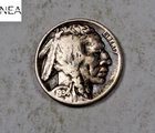 1934-D Buffalo Nickel ~ Very Fine VF ~ ZB812