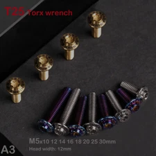 Titanium Screws M5x10-30mm T25 Torx Ti Bolt motorcycle fastener Head width 12mm