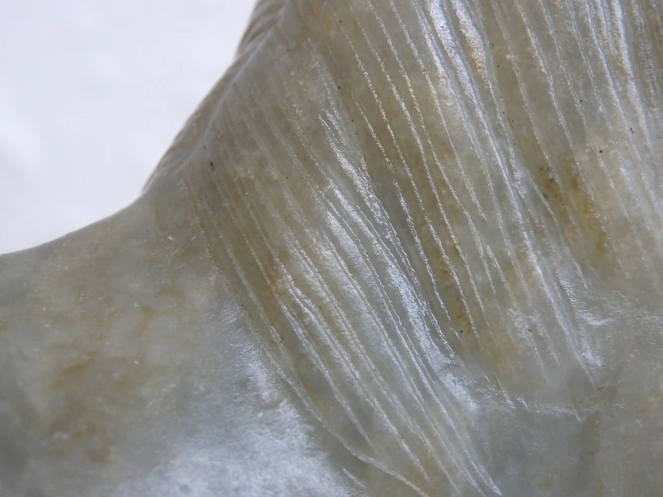 ANTIQUE Chinese A RARE PALE CELADON MOTTLED JADE HORSE QING QIANLONG PERIOD - Image 3 of 4