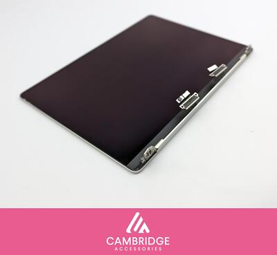 MacBook Pro 14'' A2442 M1 2021 Original LCD Screen Panel EMC 3650 Silber