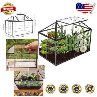 Stylish Glass Terrarium for Succulents & Mini Creatures - 9.2x5.5x7.3 inch