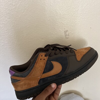 Size 11 - Nike Dunk Low Premium Cider