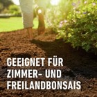 Bild 5 von 9