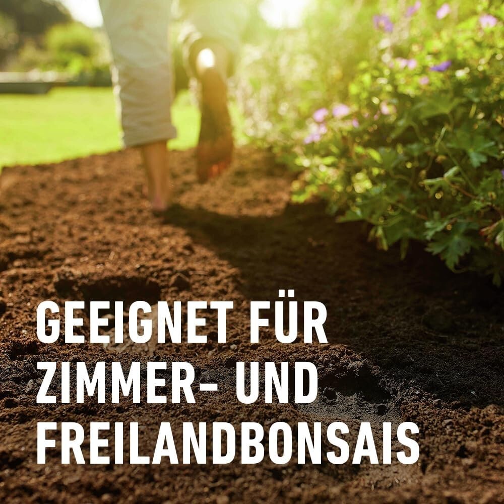 Bild 5 von 9