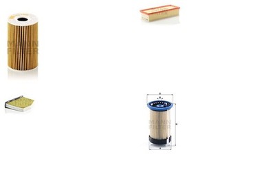 MANN-FILTER Inspektionspaket Filtersatz XL Filtereinsatz mit fungizider Wirkung