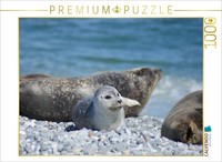 Calvendo Puzzle Robben Baby Am Strand Von Helgoland | 1000 Teile Lege-GrößE 64 ×