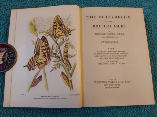 Wayside & Woodland, Schmetterlinge der britischen Inseln, Süden, 1960, HB mit DJ - Bild 10 von 16