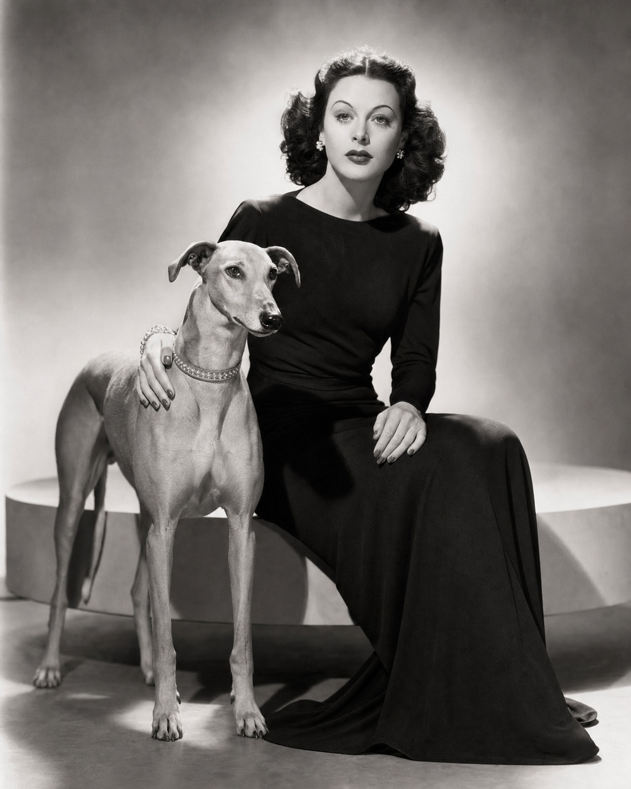 Arte de retrato vintage Hedy Lamarr Greyhound Companion/394407347