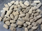 Civil War Original Archaeological Dug Relic Lot from Northern Virginia!