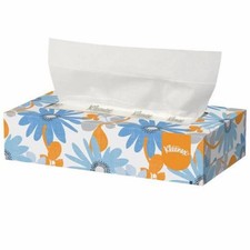 Mouchoirs, mouchoirs faciaux Mouchoirs blancs 8 x 8-2/5 pouces, nombre de 6000