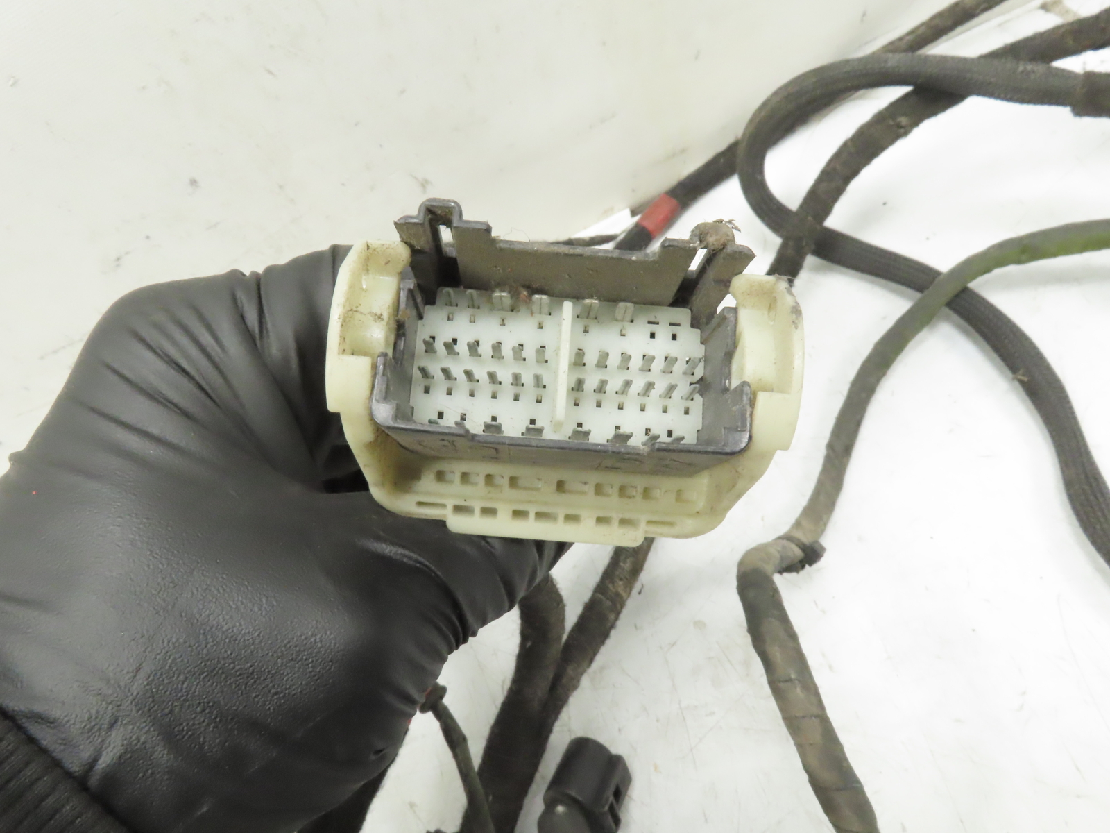 2004 Lamborghini Gallardo Wire, Wiring Main Body Harness & Plug Loom