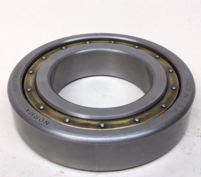 Norma Hoffmann R-155-L Cylindrical Roller Bearing 55mm ID X 100mm OD X 21mm W