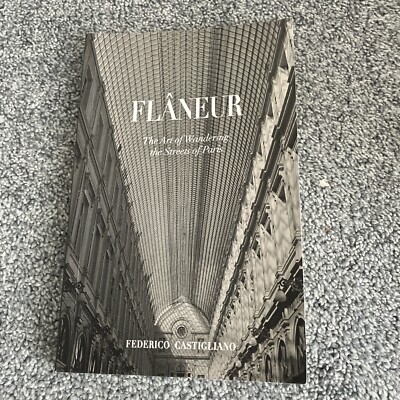 Flneur: The Art of Wandering the Streets of Paris Frederico Castigliano Book
