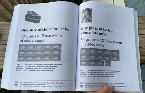 THE MIND DIET VON IRV BRECHNER 2014 TASCHENBUCHAUSGABE - Bild 10 von 12