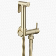 Annan Brushed Brass Douche Kit With Integrated Isolator Valve & Handset Holder