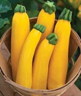 Seeds Zucchini Orange Amber High Yield Vegetable NON GMO Original Package