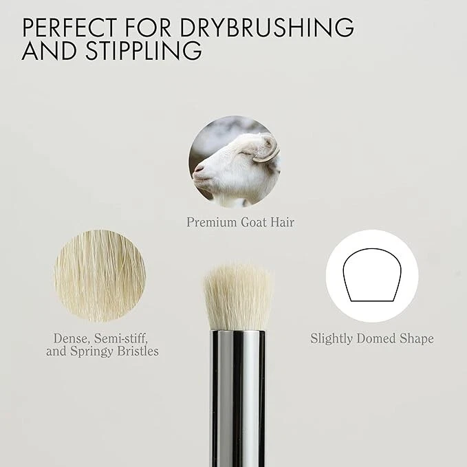 ARTIFY Juego de Cepillos Secos con Almohadilla Amortiguadora y Jabón Cepillo 5 Tamaños Cepillo Profesional Foto 4 de 4