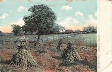 Harvest Time Auburn Maine VTG  P67