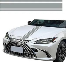 Hood Stripe Decal Sticker in Light Gray, Racing Stripes Viny Color: Light Gray