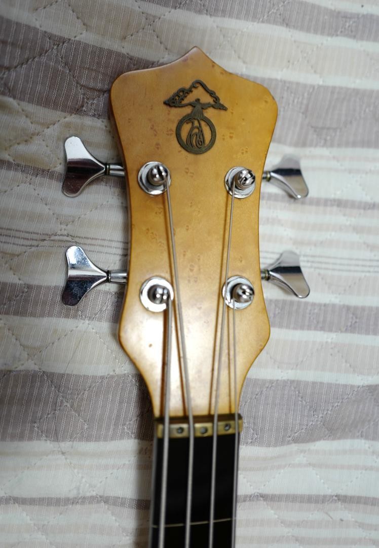 【希少！!】Alembic Persuader Fretless エポキシ Alembic Persuader Fretless Epoxy No.MG1863 | eBay