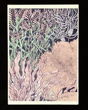 Affiche Art Nil Polack Risographie Série Limitée A3 Affiche #12