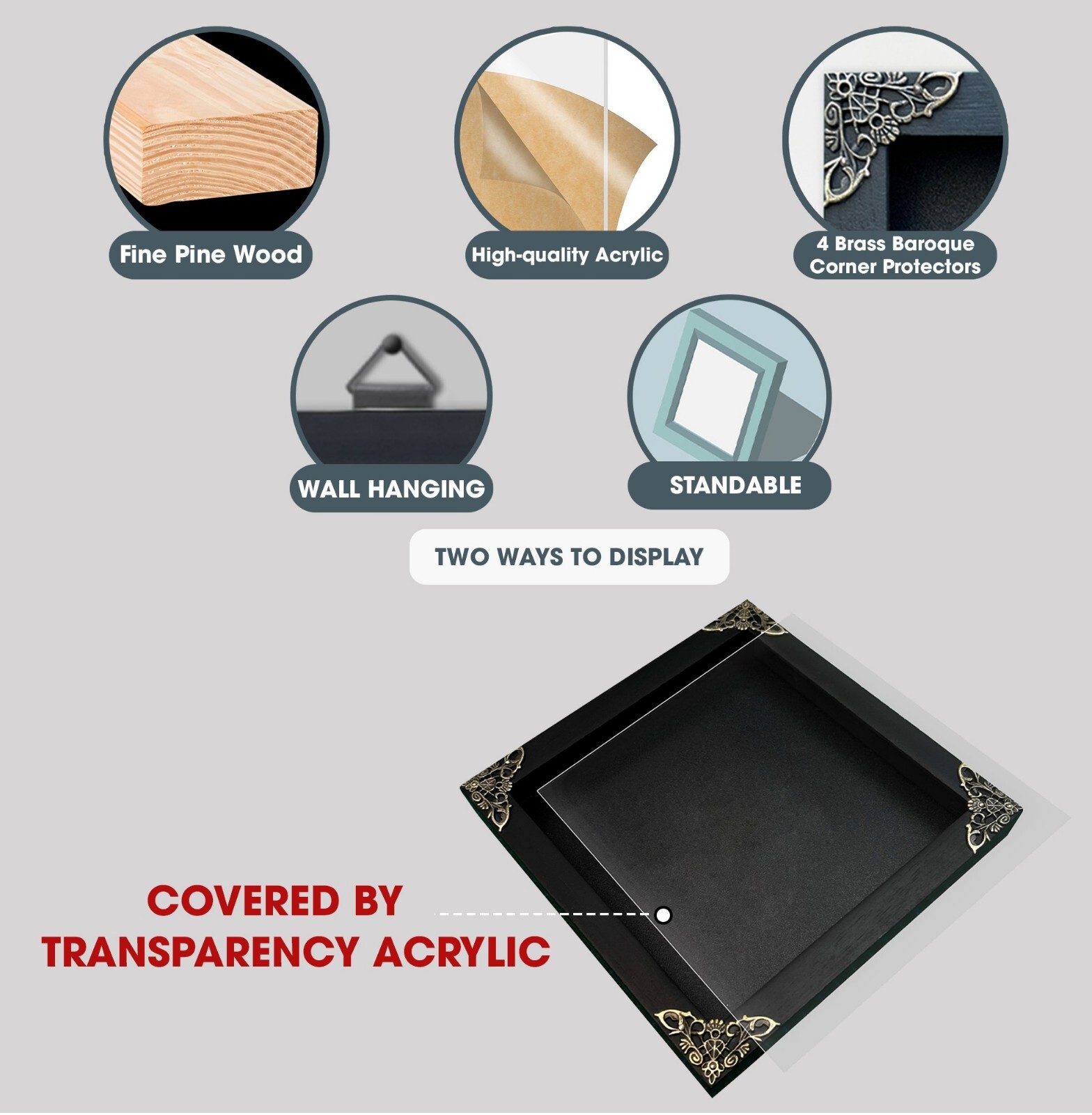 Real Mounted Moth Taxidermy Collection Framed Butterfly Insect Display Art