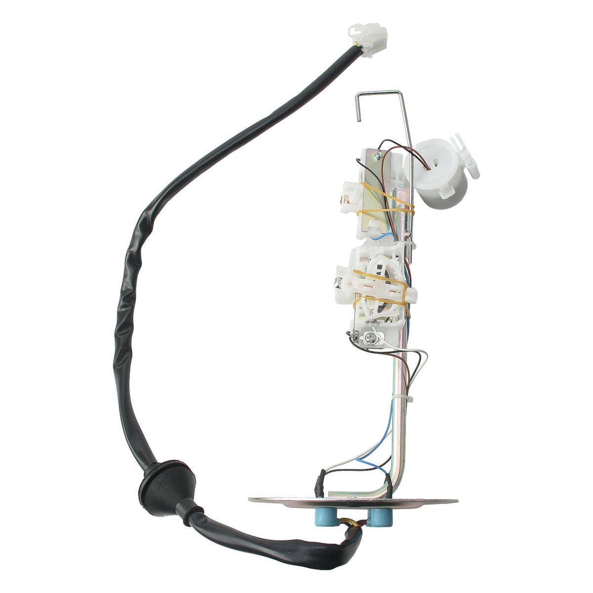 S＊M $_12.JPG?set_id=880000500F