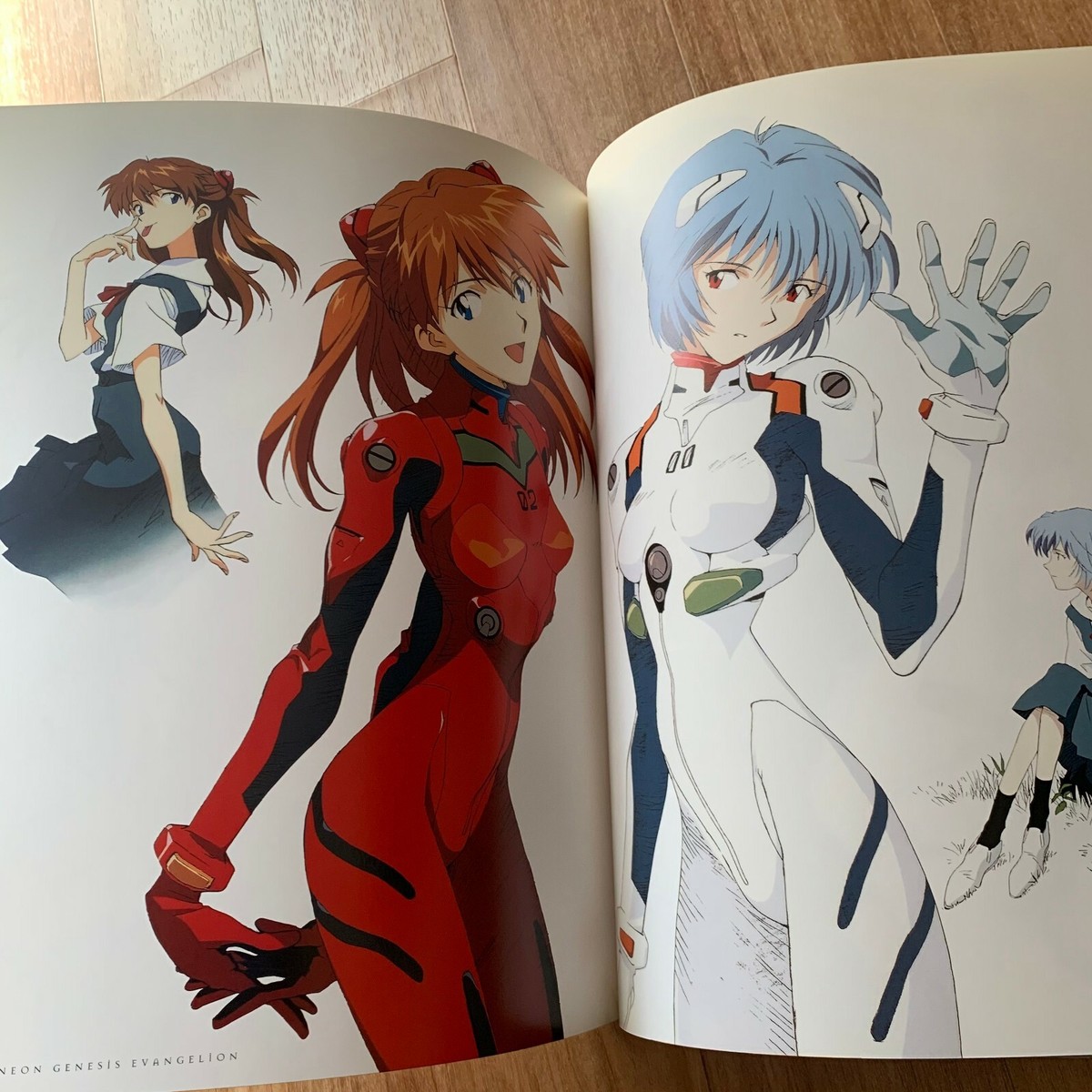 Evangelion Illustration Book Art work DIE STERNE Ver.2.0 Rei