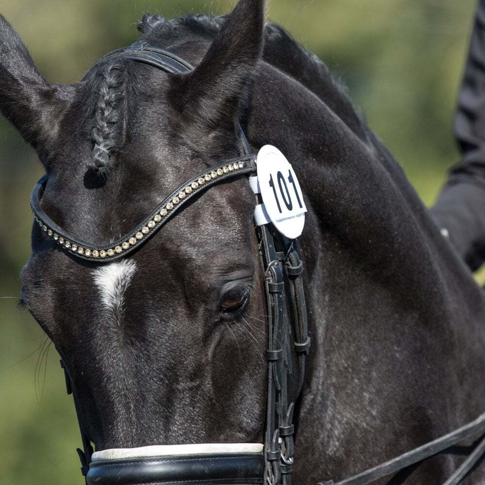 Equetech Bridle Number Holder - White - Sold In Pairs