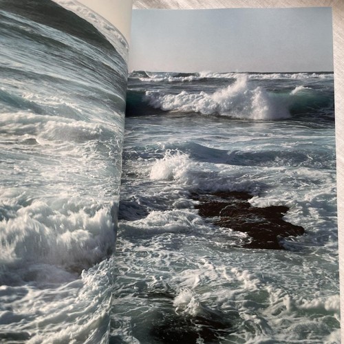 Takashi Homma New Waves Photobook 2007 Hawaii North Shore Signed - 第 6/7 張圖片