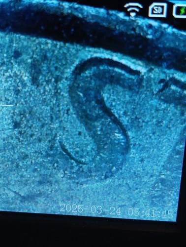 👉1982 Lincoln PIMPLE & RPM Gas Lamination causing Bubbles #98 - Picture 6 of 12